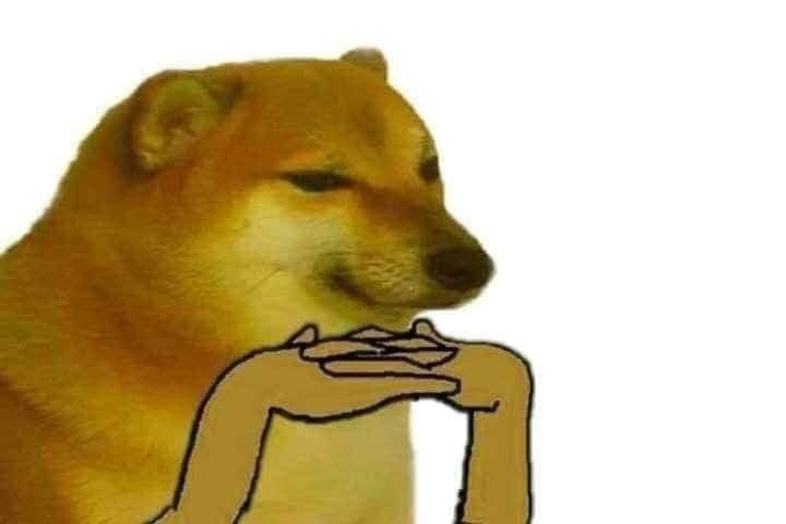 Dog with hands thinking