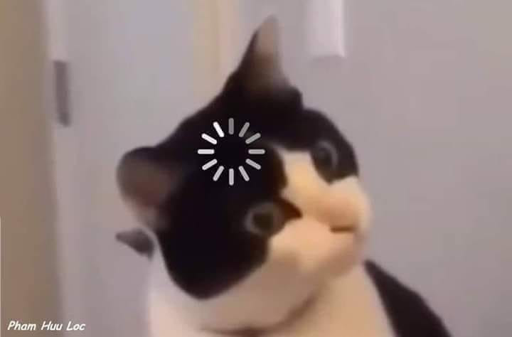 Loading black cat meme - cat with buffering sign