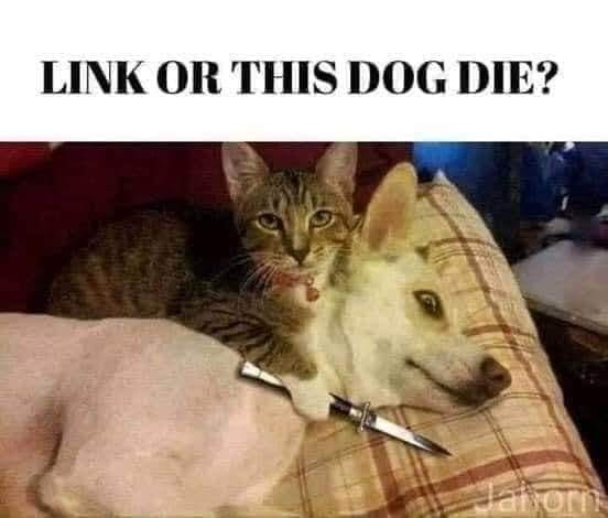 Link or this dog die? Cat with knife threatening dog