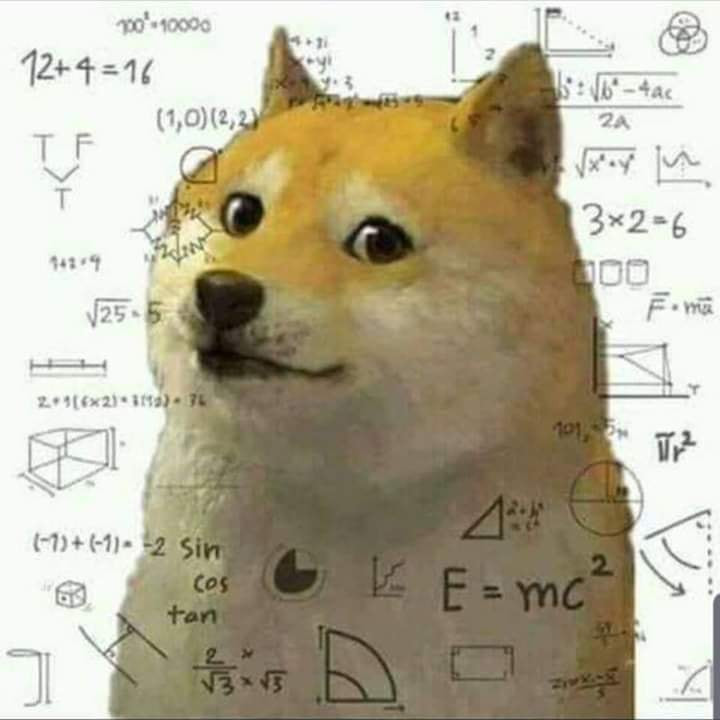 Doge thinking - dog confused with equations, graphs, formulas