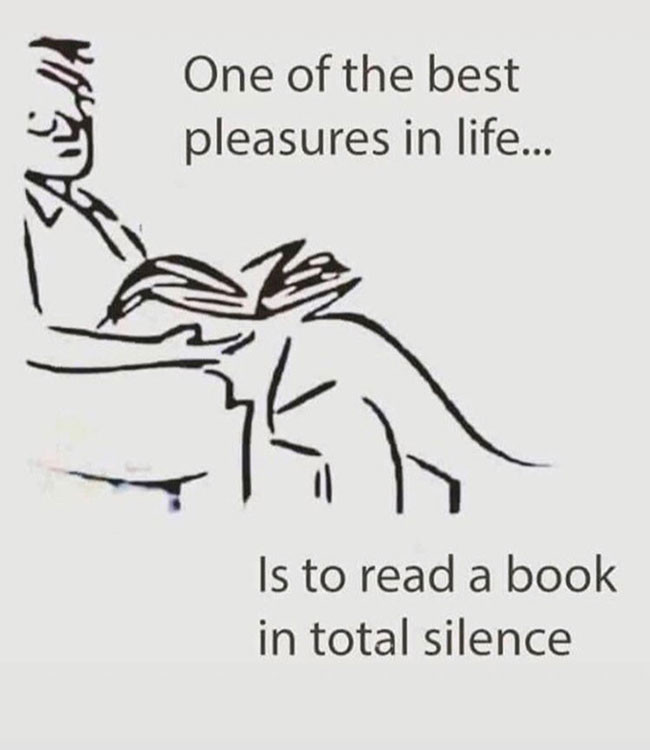 One of the best pleasures in life is to read book in total silence