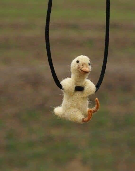 Smiling duckling hanging on rope