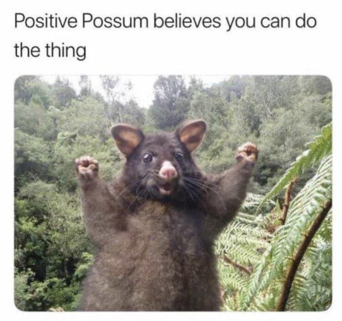 Positive Possum believes you can do the thing -