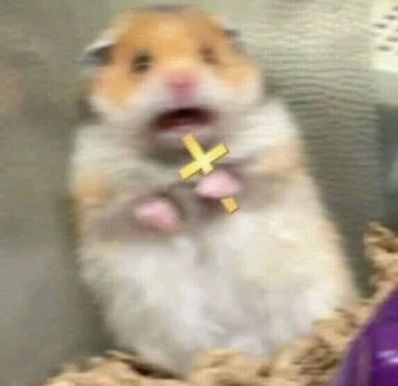 Scared Hamster holding a cross meme - scared mouse