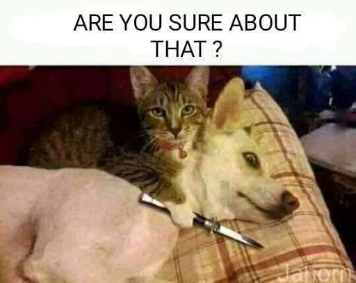 Are you sure about that? Cat threatening dog with a knife.