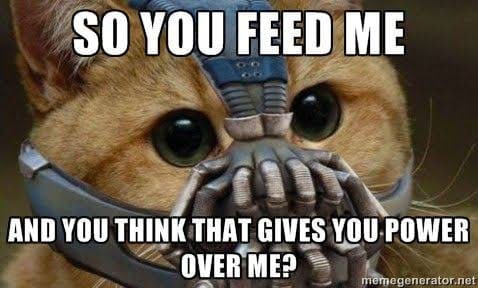 You feed me and you think that gives you power over me?