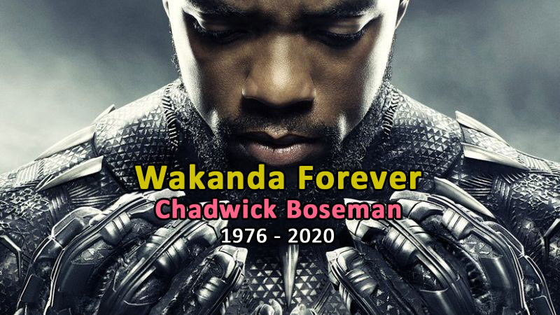 Wakanda Forever - Chadwick Boseman tribute