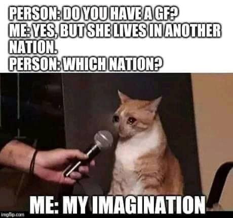 Cat meme: My girlfriend lives in another nation - imagination.
