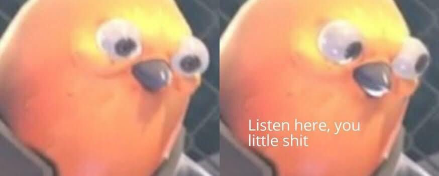 Listen here, you little shit - orange bird meme