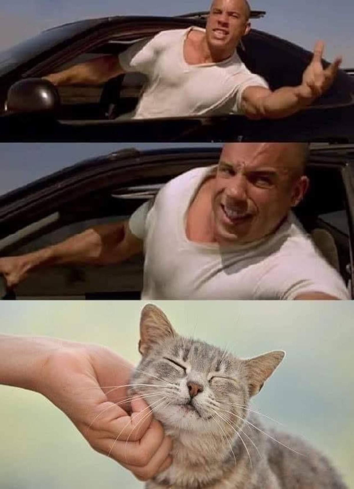 Vin Diesel driving and trying so hard to touch a cat meme