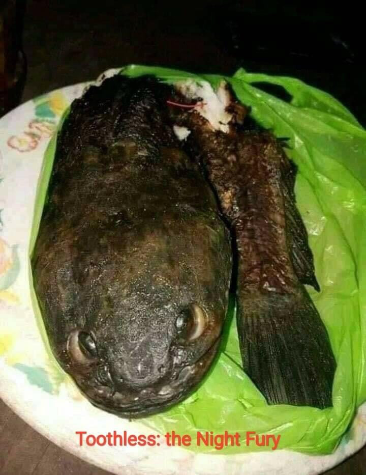 Cooked Toothless meme - grilled fish looking like Toothless the Night Fury