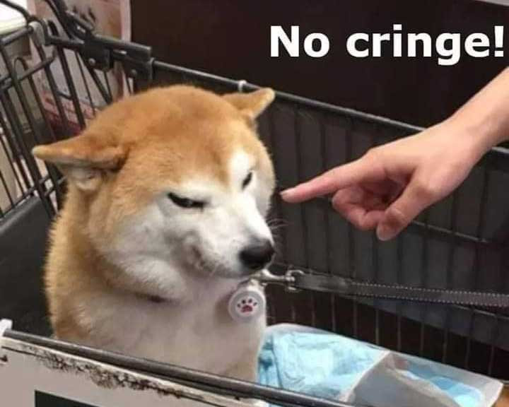 No cringe dog meme - pointing finger to doge and blame