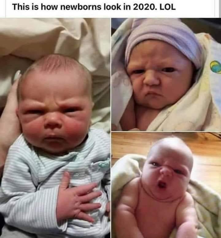 This is how newborns look in 2020 - grumpy babies meme
