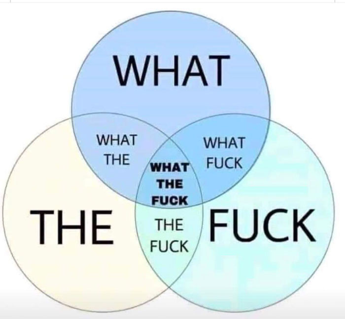 What The Fuck text 3 overlapping circles meme