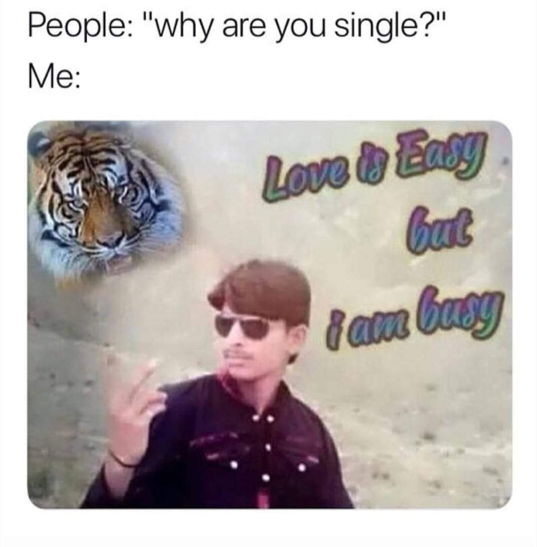 "Love is easy but I am busy" Indian meme