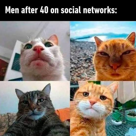 Men profile picture after 40 on social networks - cat selfies