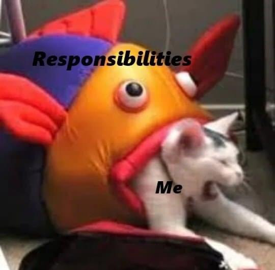 Responsibilities eating me meme - fish toy eating screaming cat meme