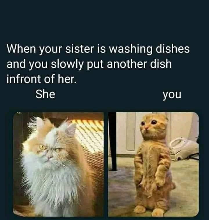 Doing The Dishes Meme