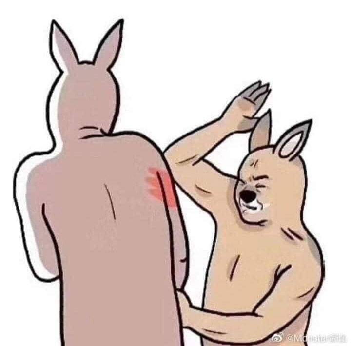 Human-like rabbit slapping another one leaving red palm mark