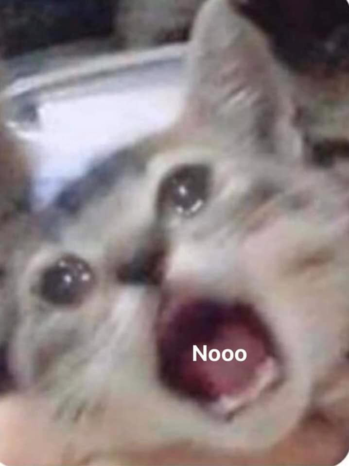 Blurred cat crying and saying NO meme