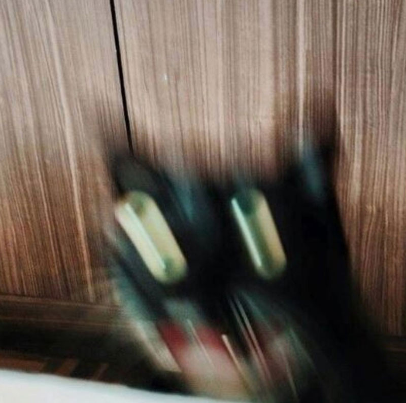 Blurred black cat shaking eyes meme