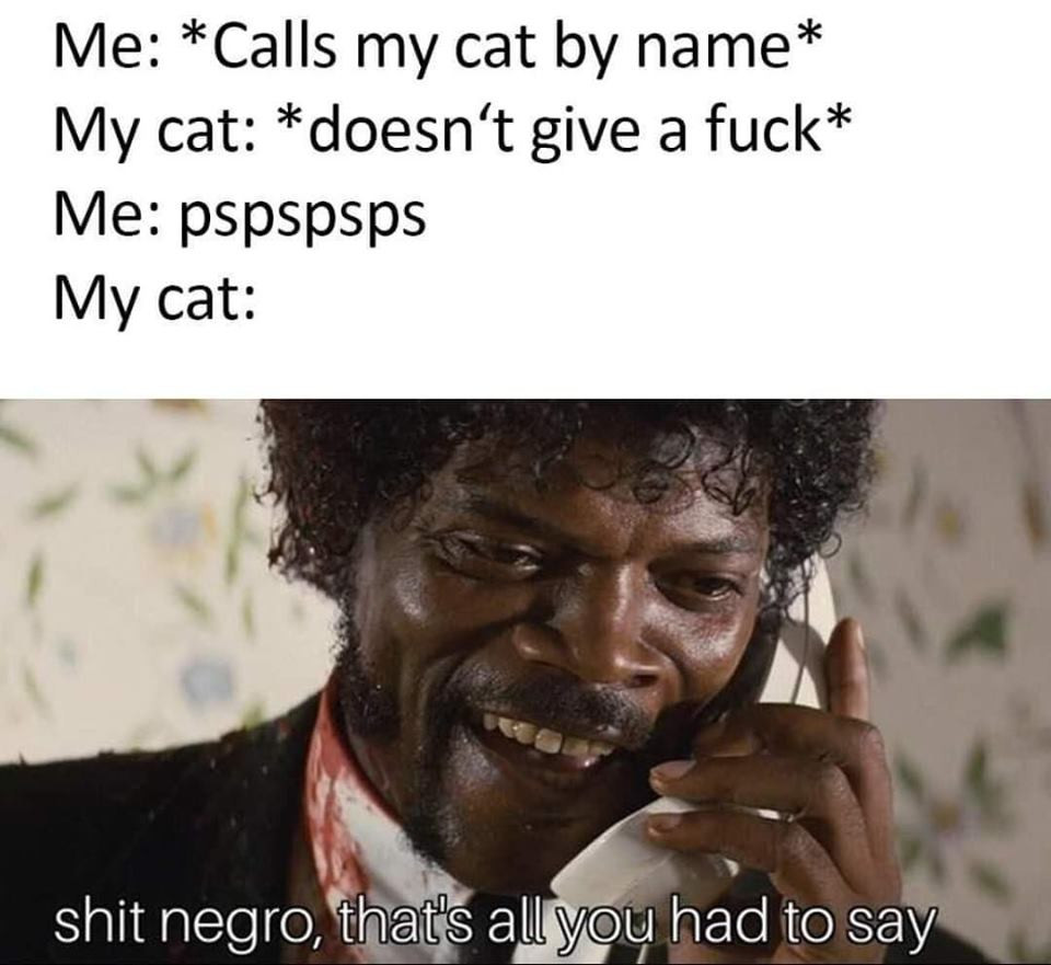 Me calling cat pspspsps Samuel Jackson meme