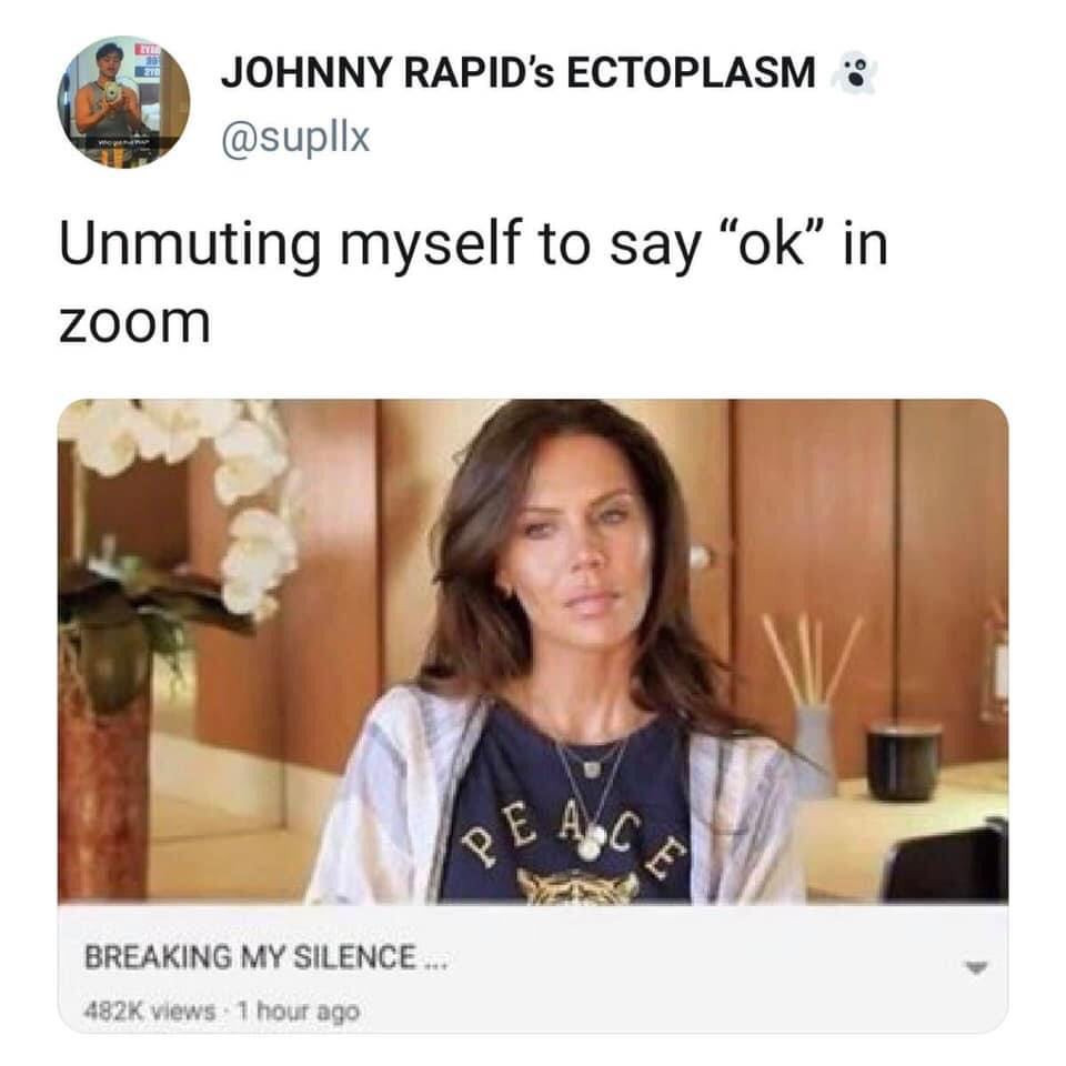 Unmuting myself to say "OK" in zoom - sad woman meme