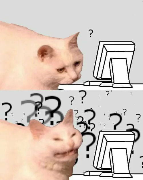 Confused cat looking at computer with a lot of question marks meme ...