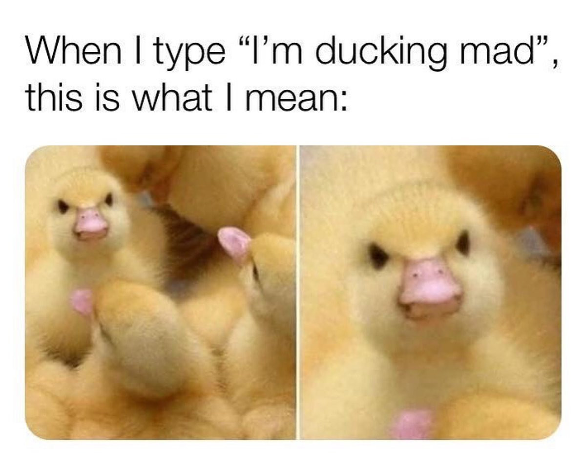 When I type "I'm ducking mad" - angry duckling meme
