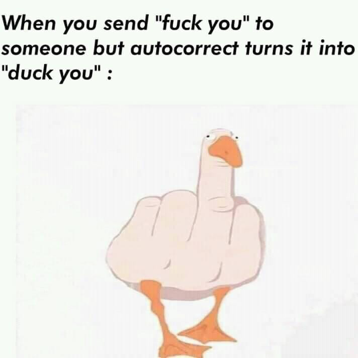 When you send "fuck you" to someone but autocorrect turns it into "duck you" meme