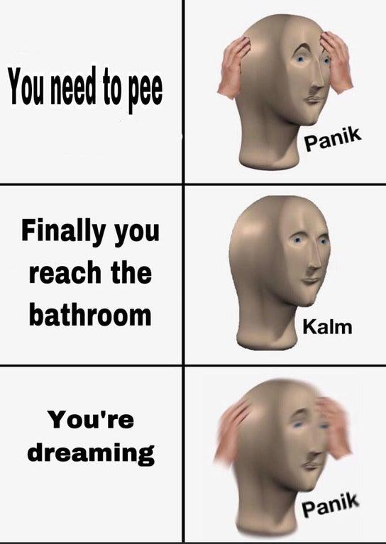 You need to pee. Finally you reach the bathroom. You're dreaming.