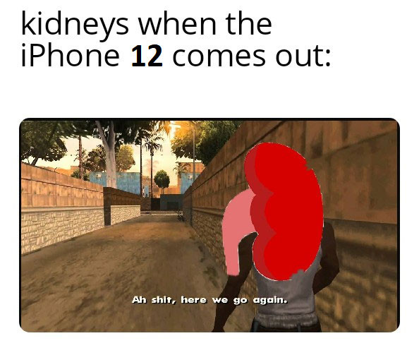 Kidneys when the iPhone 12 comes out meme