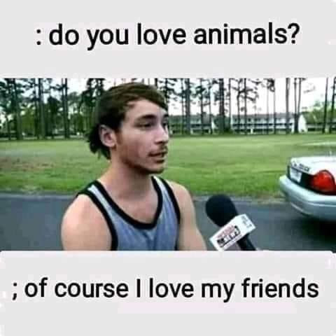 Do you love animals? Of course I love my friends.