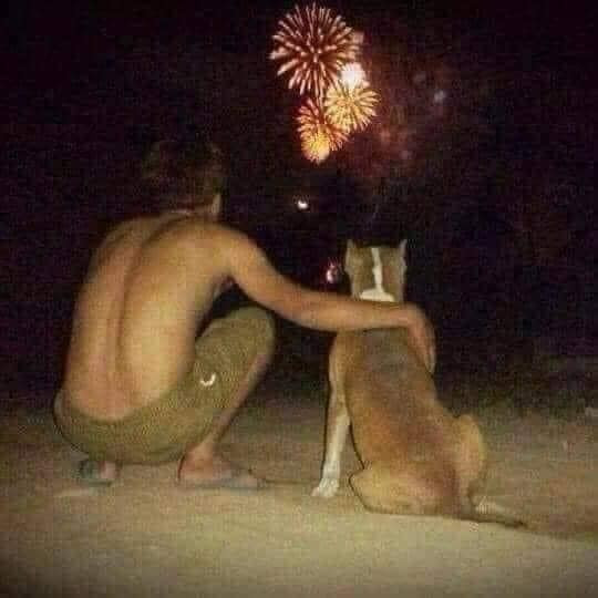 Man and dog watching fireworks meme