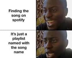 Finding the song on Spotify but it's just a playlist named with the song name meme