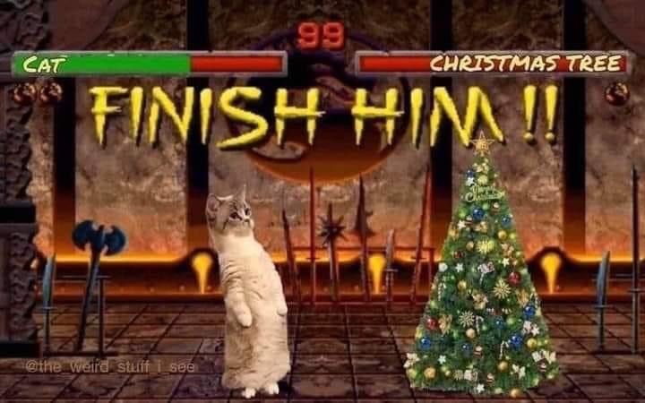 Finish him! Cat vs Christmas tree meme