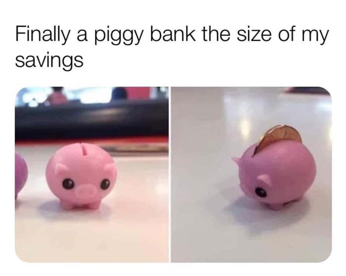 Finally found a piggy bank the size of my savings - tiny piggy meme