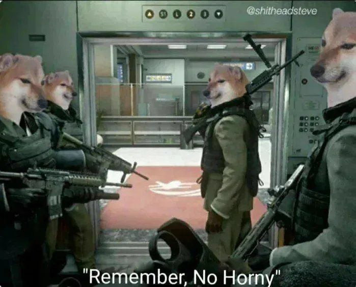 "Remember, no horny" cheems doge soldiers meme