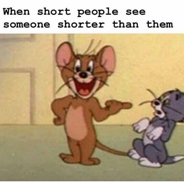 When short people see someone shorter than them - Jerry vs short Tom meme