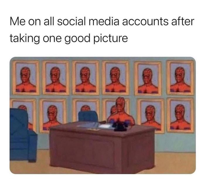 Me on all social media accounts after taking one good picture Spider-man meme