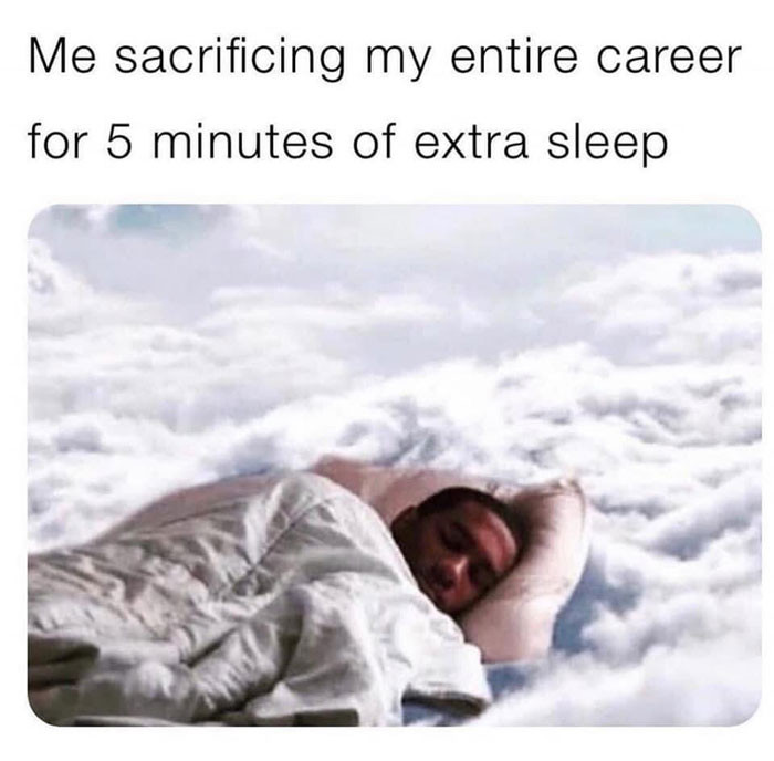Me sacrificing my entire career for 5 minutes of extra sleep meme