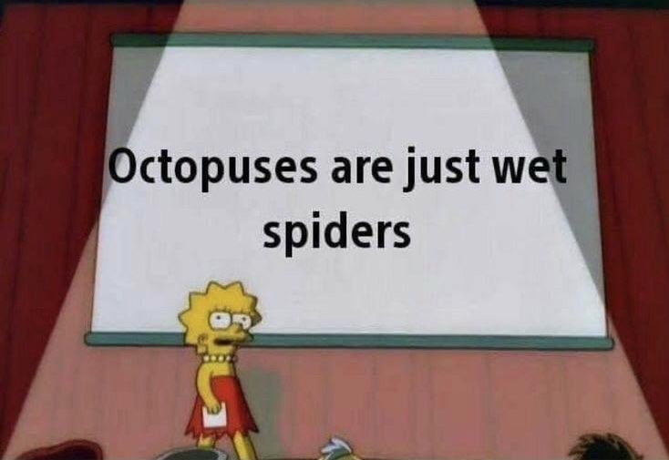 Octopuses are just wet spiders meme