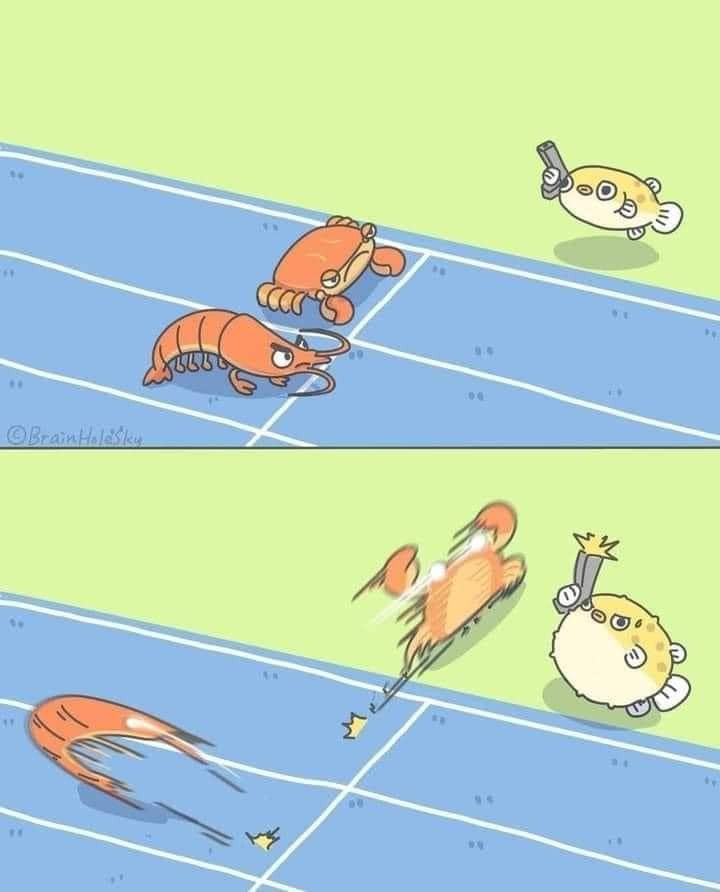Shrimp and crab on racetrack in a race meme