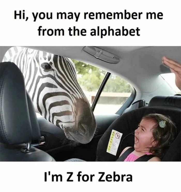 I'm Z for Zebra. You may remember me from the alphabet - baby girl crying meme